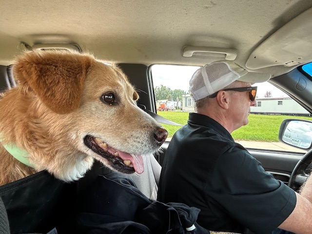 Scooper Heroes - Photo 2