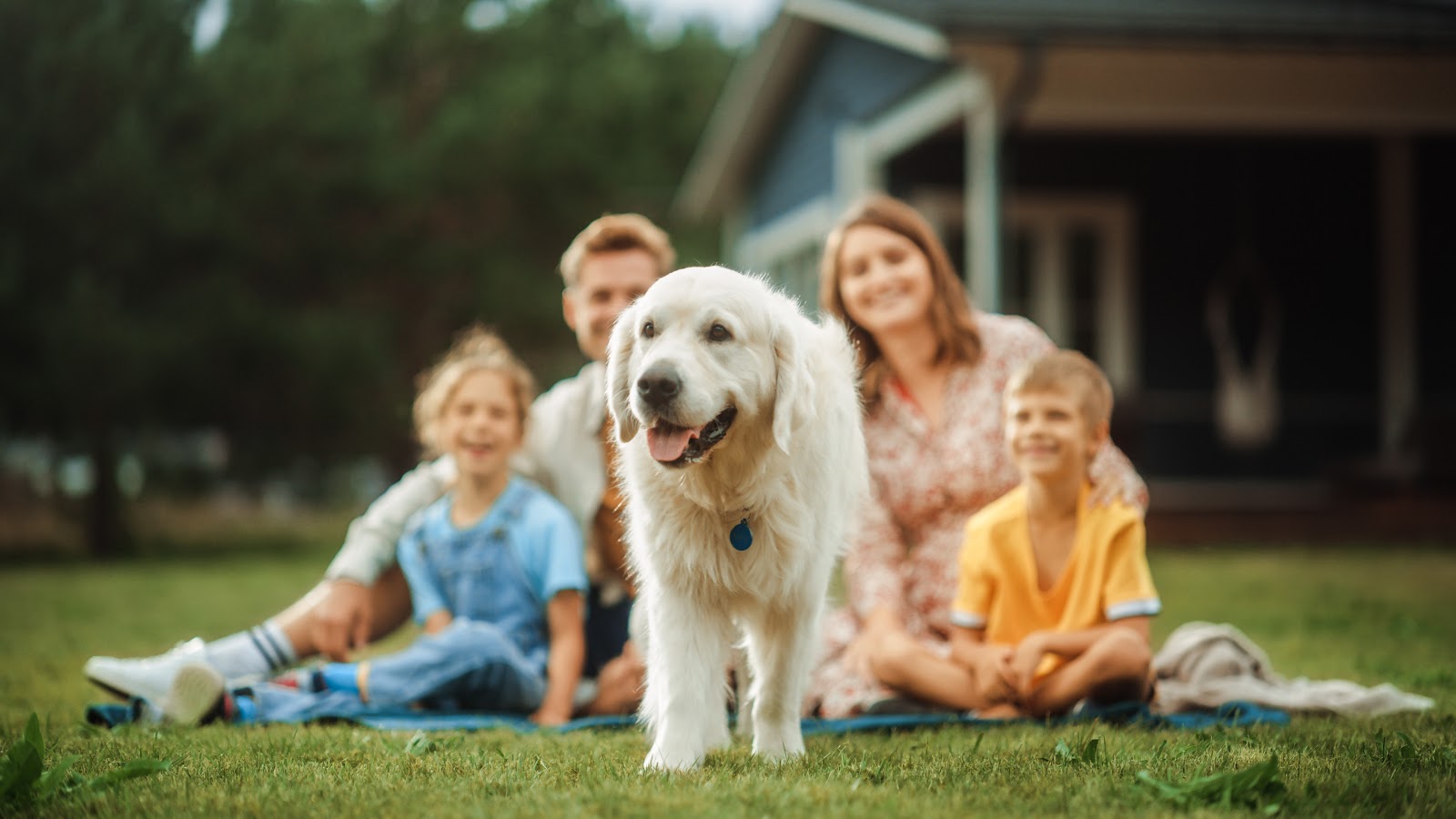 Pooper Troopers of Kalamazoo