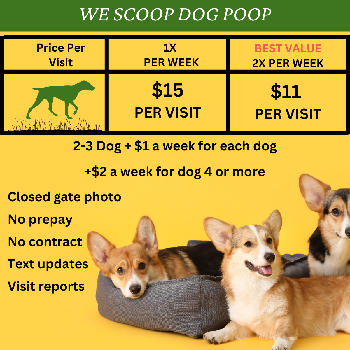 The Green Hound LLC Poop Scoopers of Cape Coral - Photo 2
