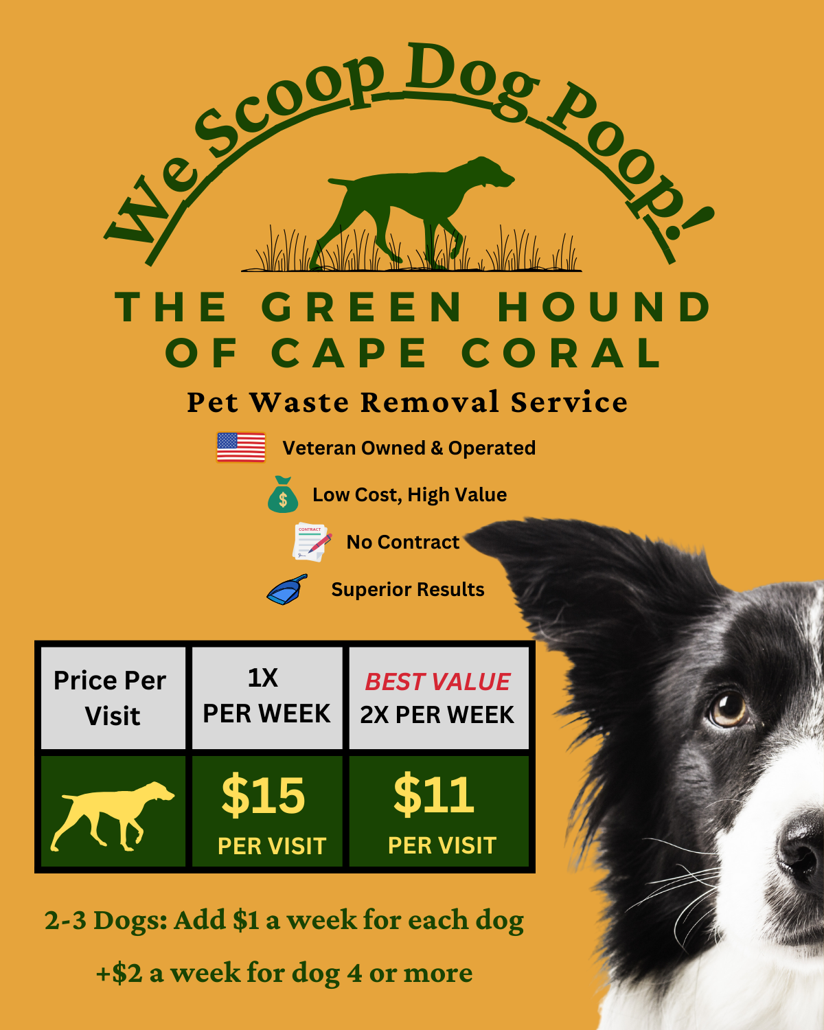 The Green Hound LLC Poop Scoopers of Cape Coral - Photo 3
