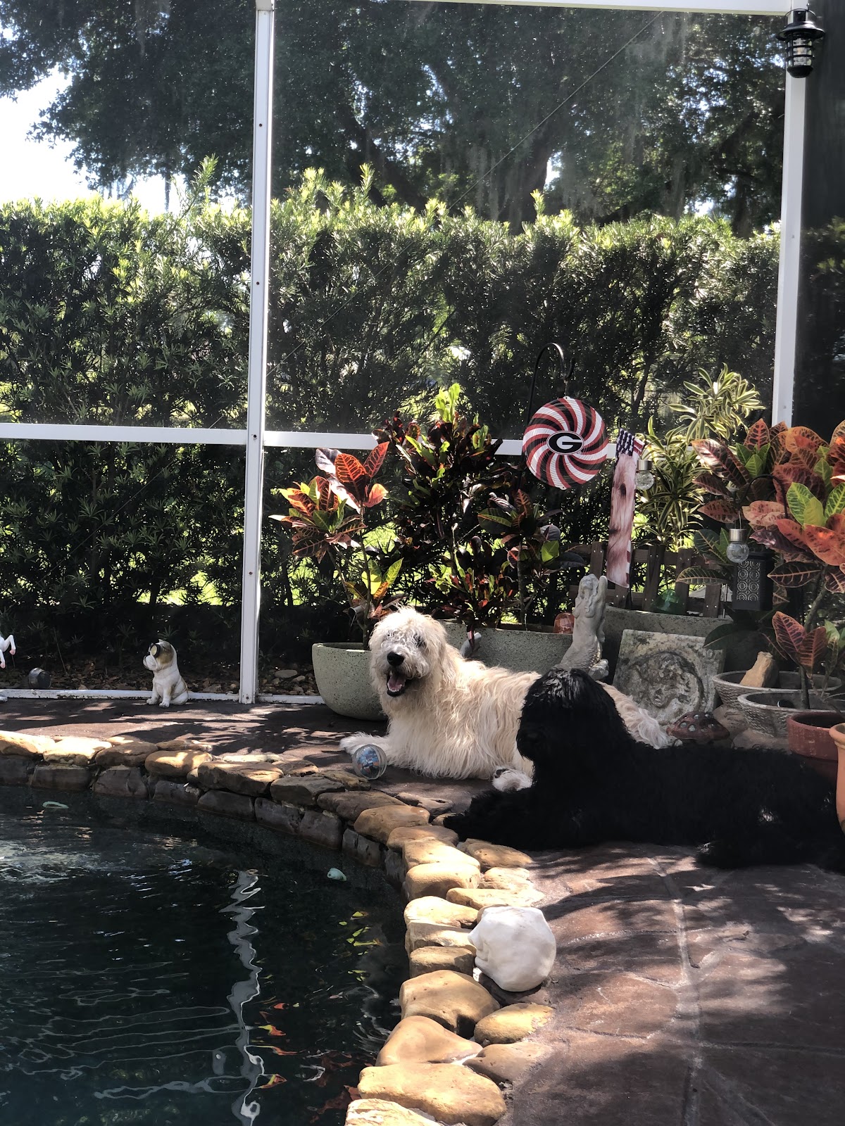 The Original Pooper Scooper - Photo 4