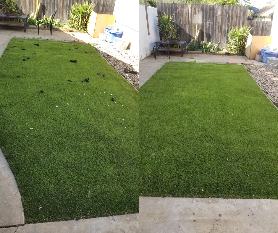 Dirty Jobs Dog Waste Removal - Photo 4