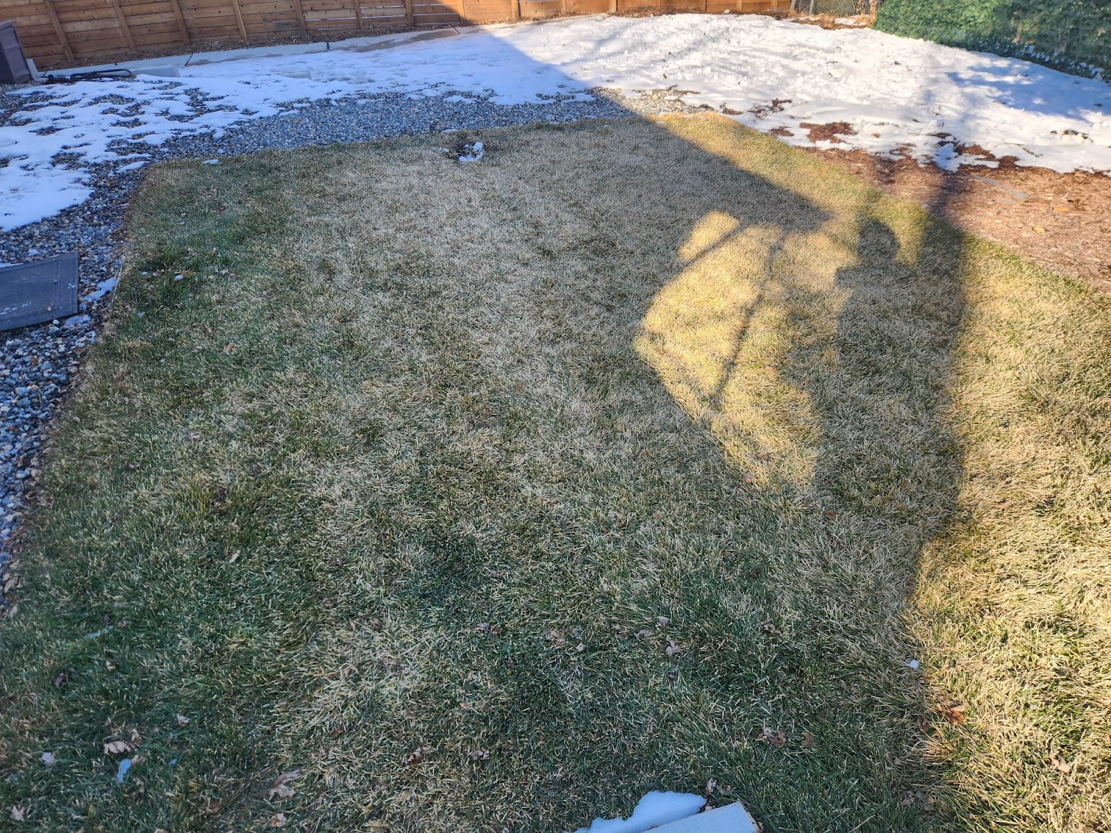 Swift Scoopers - Photo 2