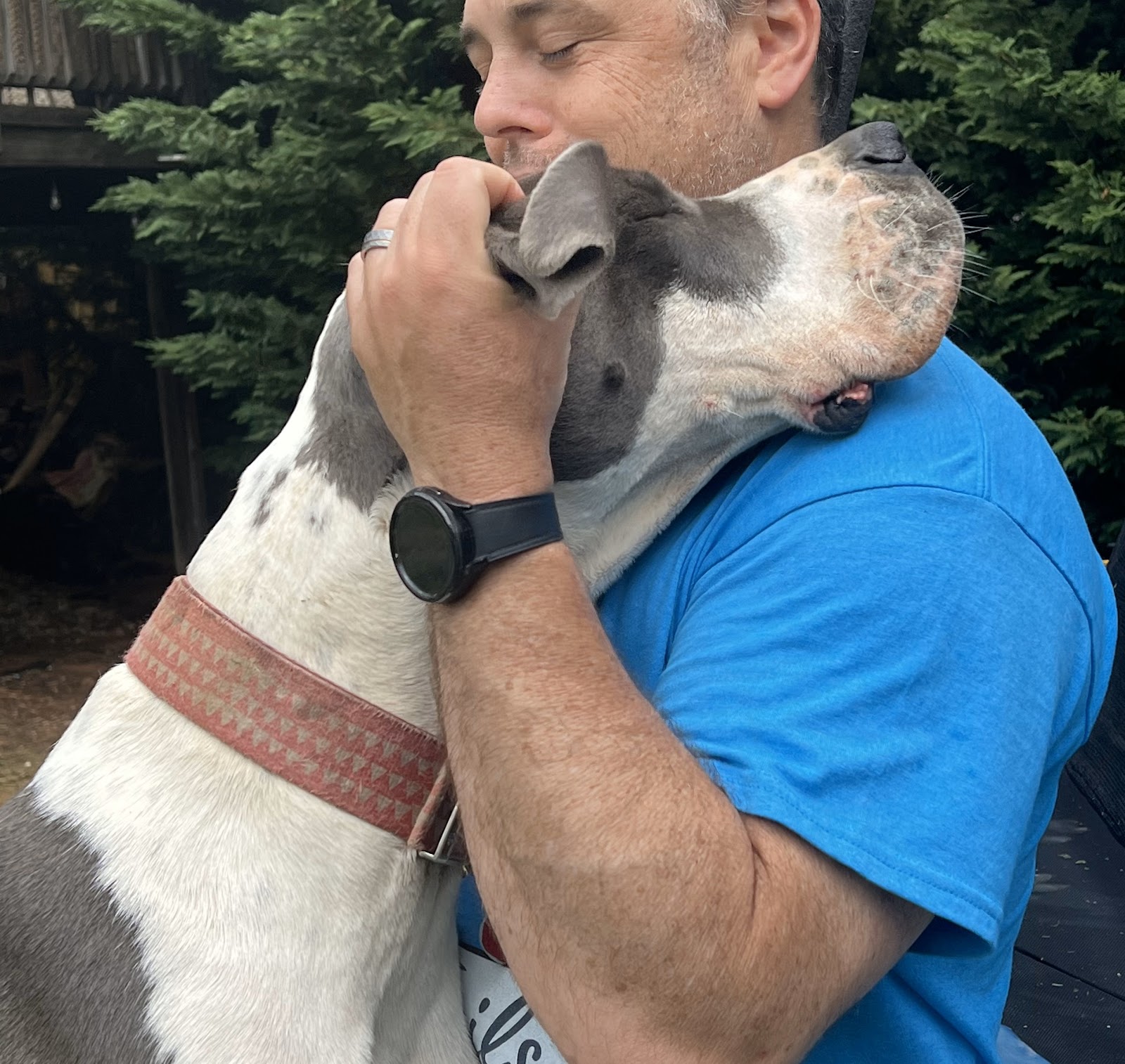 Waggin' Tails Pet Services