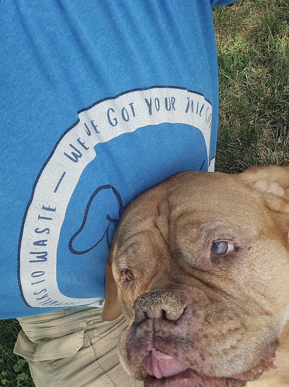 Waggin' Tails Pet Services - Photo 2