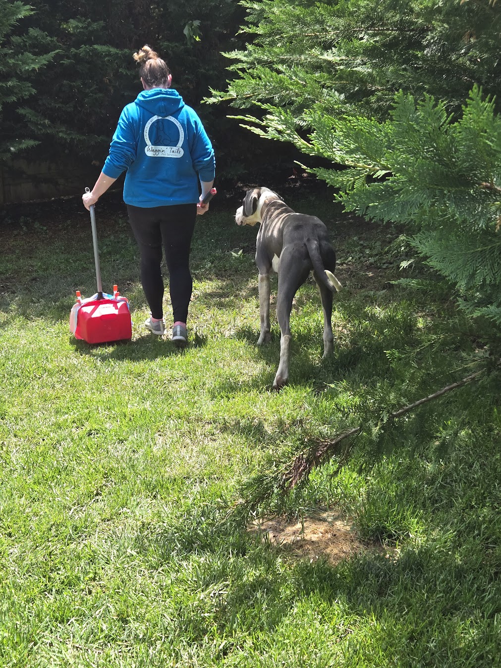 Waggin' Tails Pet Services - Photo 4