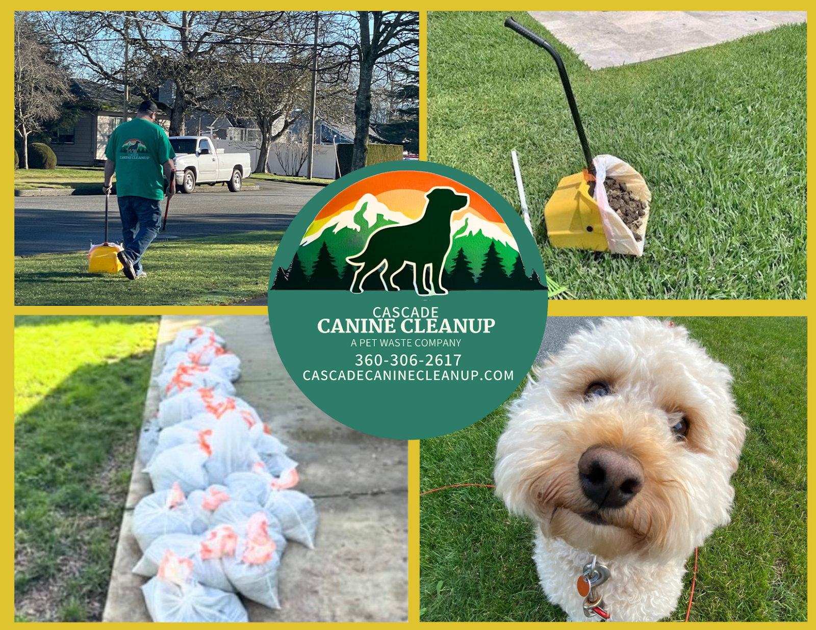 Cascade Canine Cleanup - Photo 4