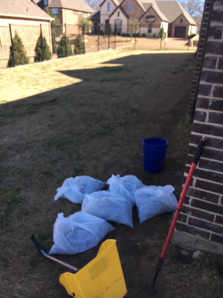 Department of Doody Dallas