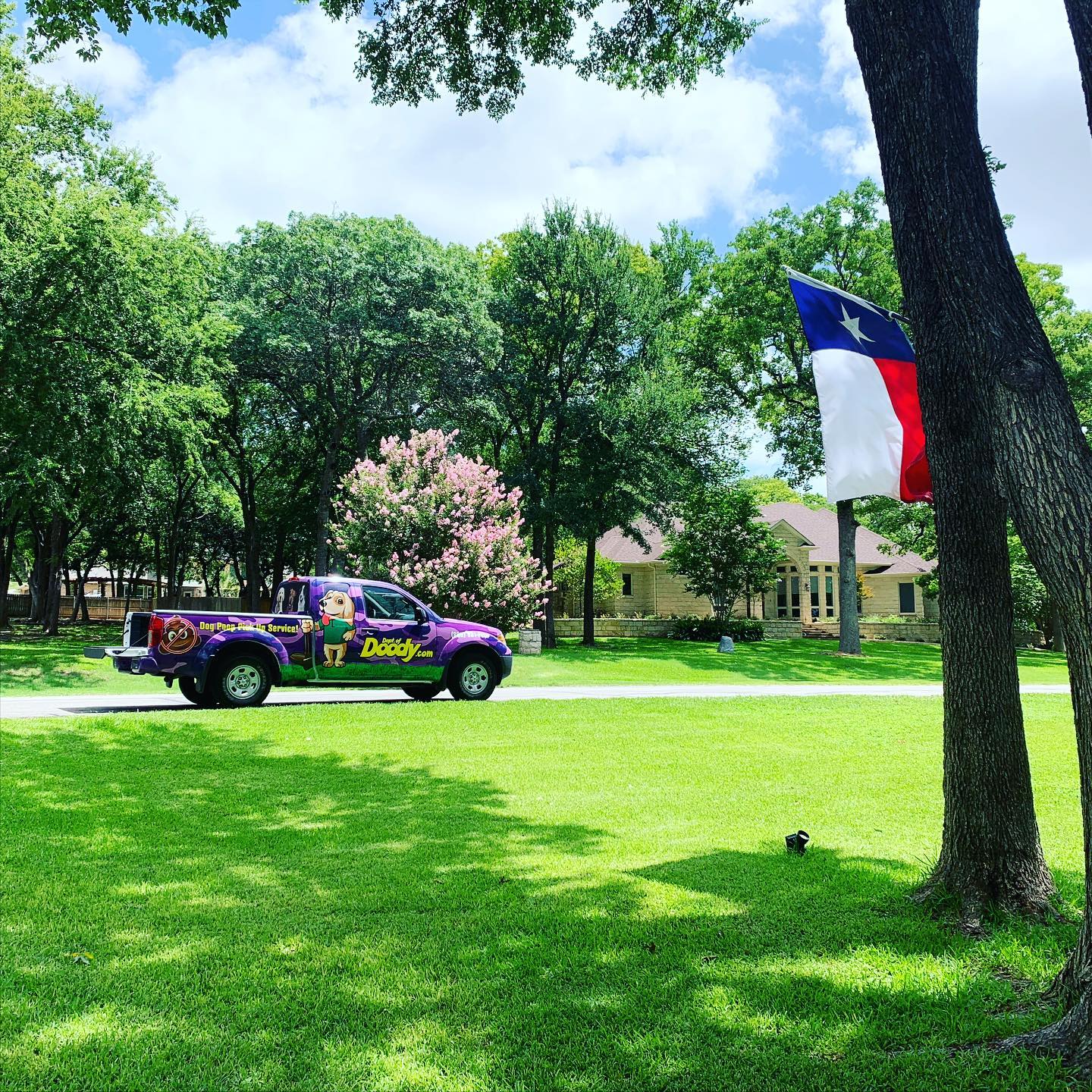 Department of Doody Dallas - Photo 4