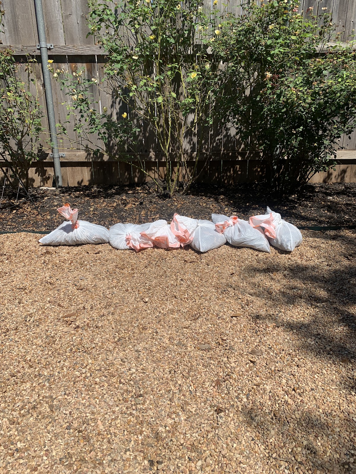 Better Scoops - Photo 3