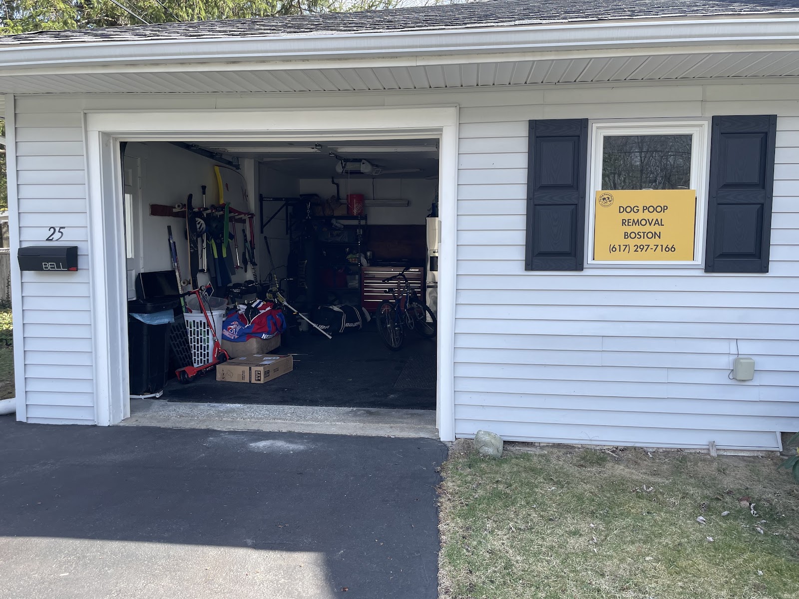 Dog Poop Removal Boston