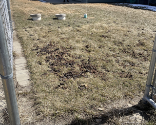 Prairie Pro Scoopers - Photo 2