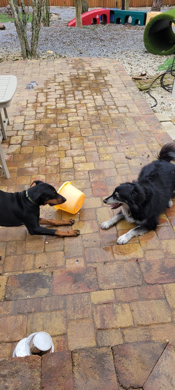 DoodyCalls® of Mobile - Photo 3