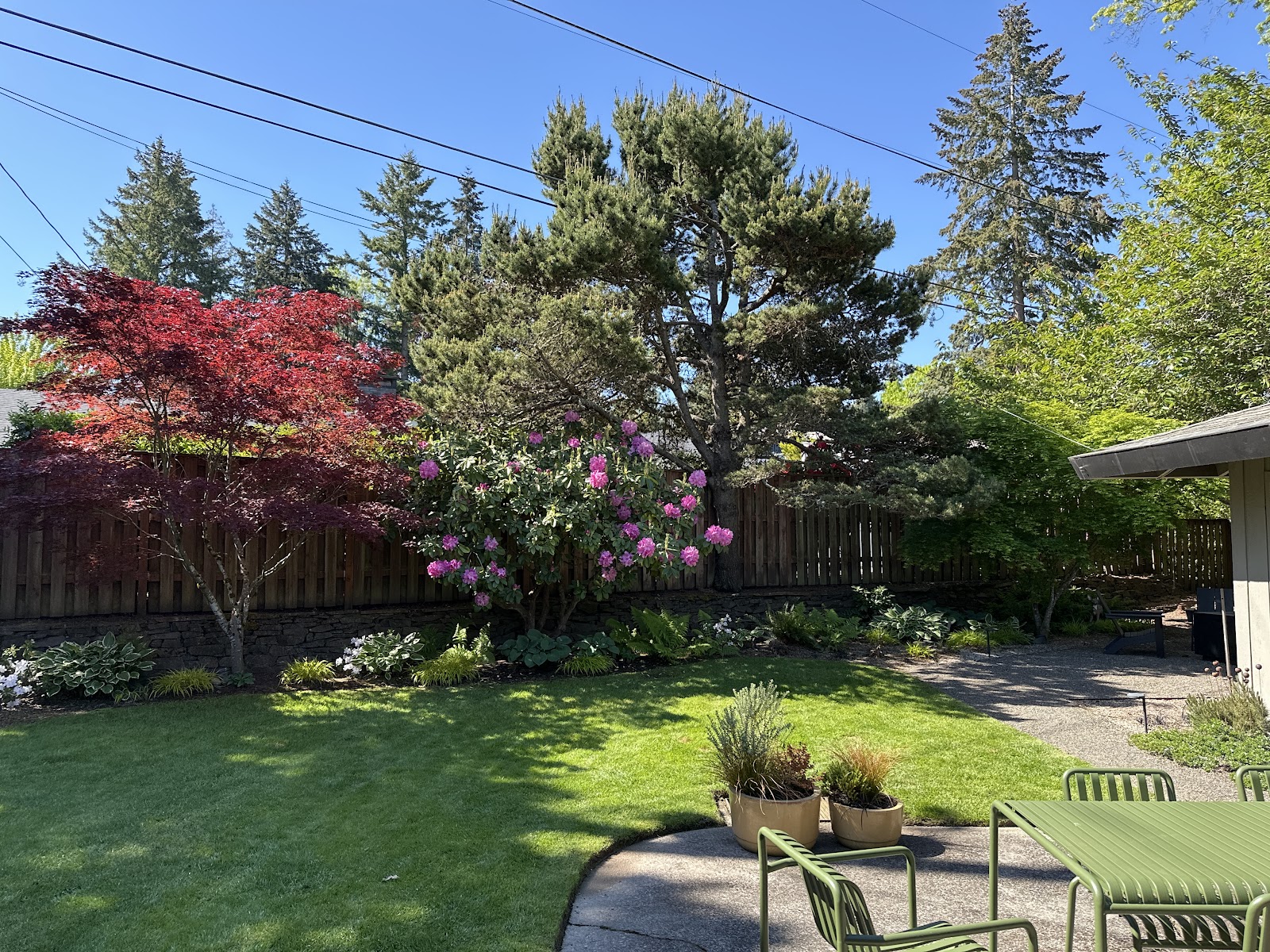 So Fresh Scoopers - Photo 4