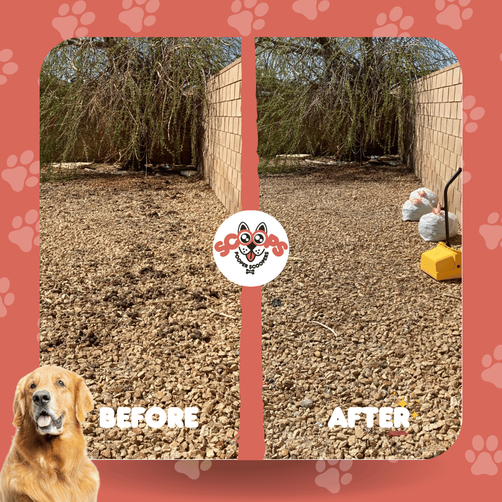 Scoops Pooper Scoopers