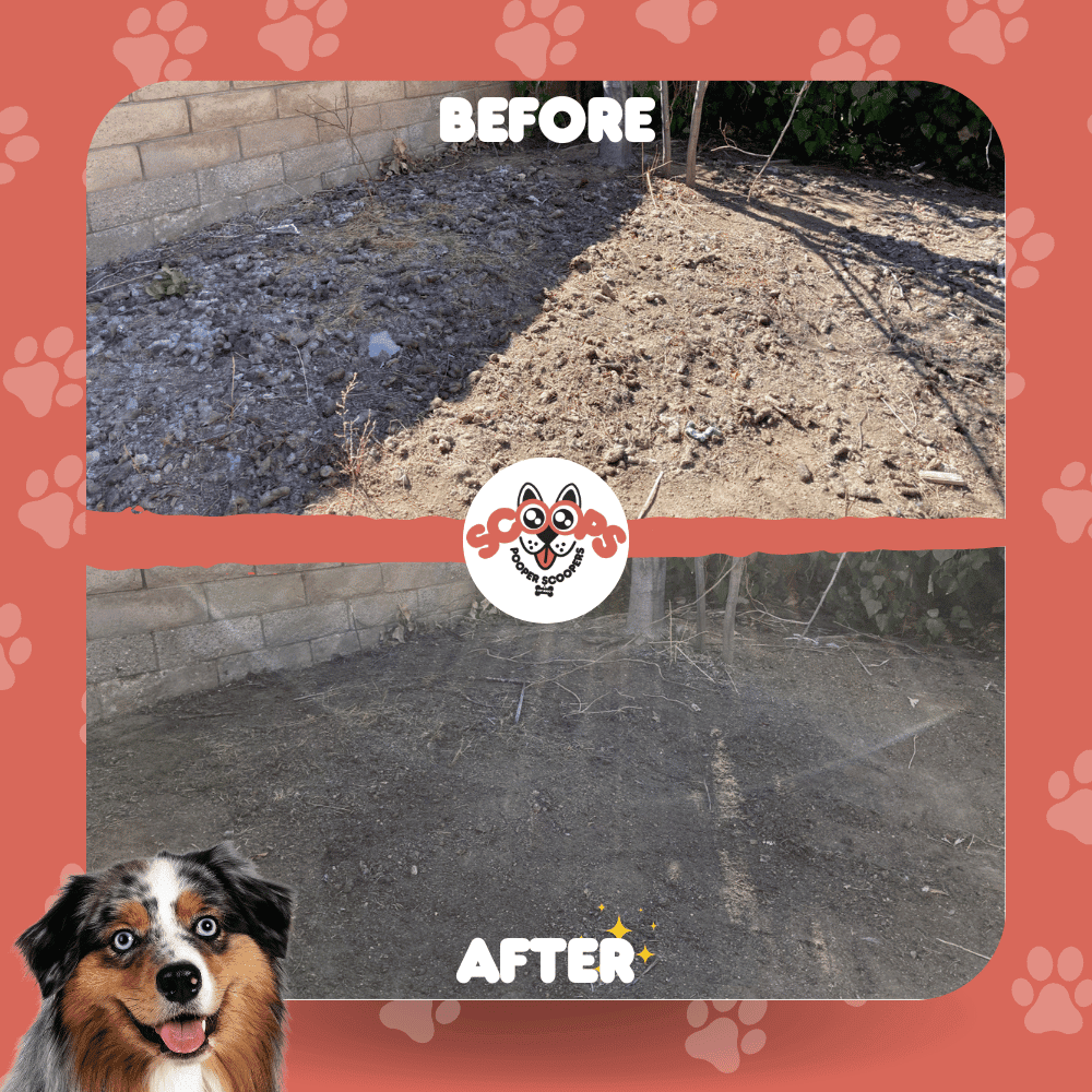 Scoops Pooper Scoopers - Photo 2