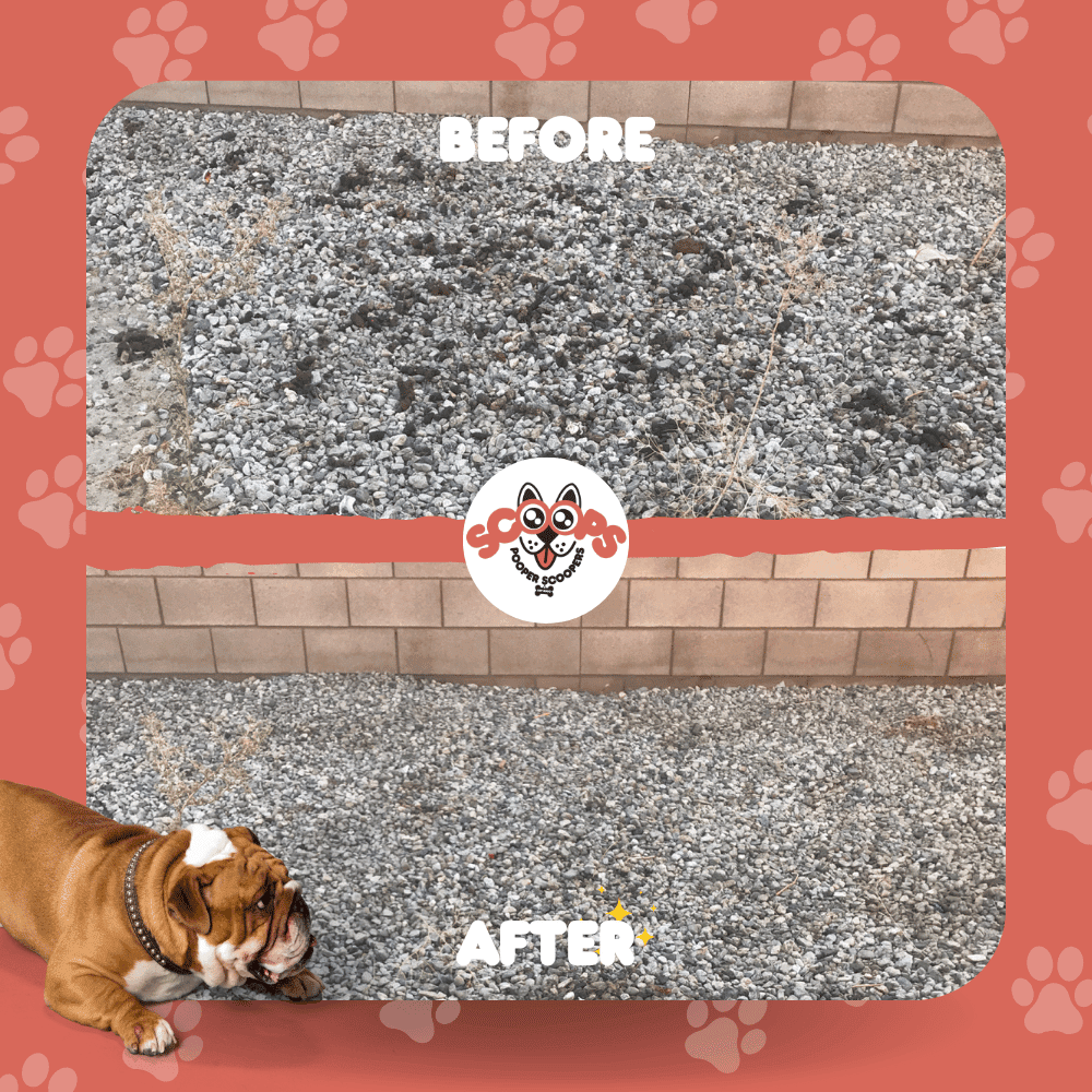 Scoops Pooper Scoopers - Photo 3