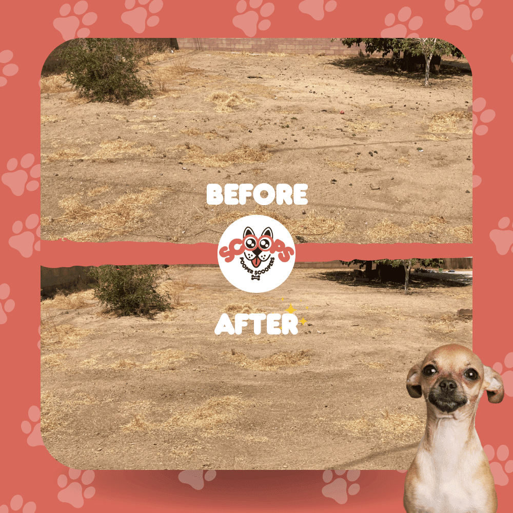 Scoops Pooper Scoopers - Photo 4