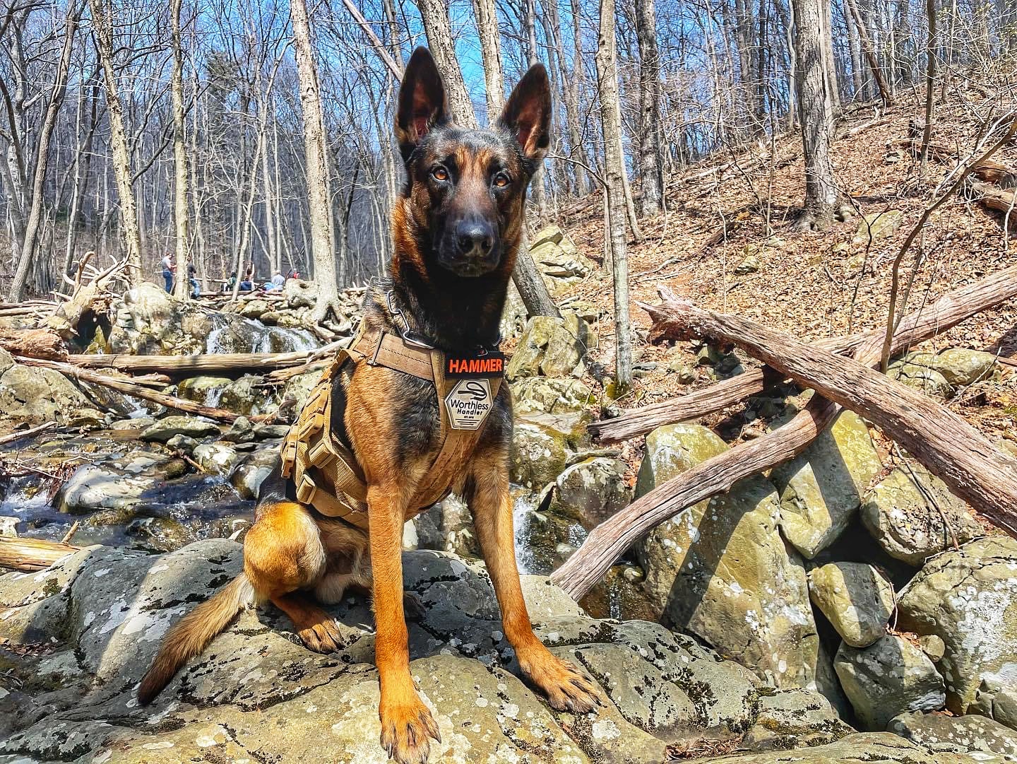 Precision Scooping LLC - Photo 3