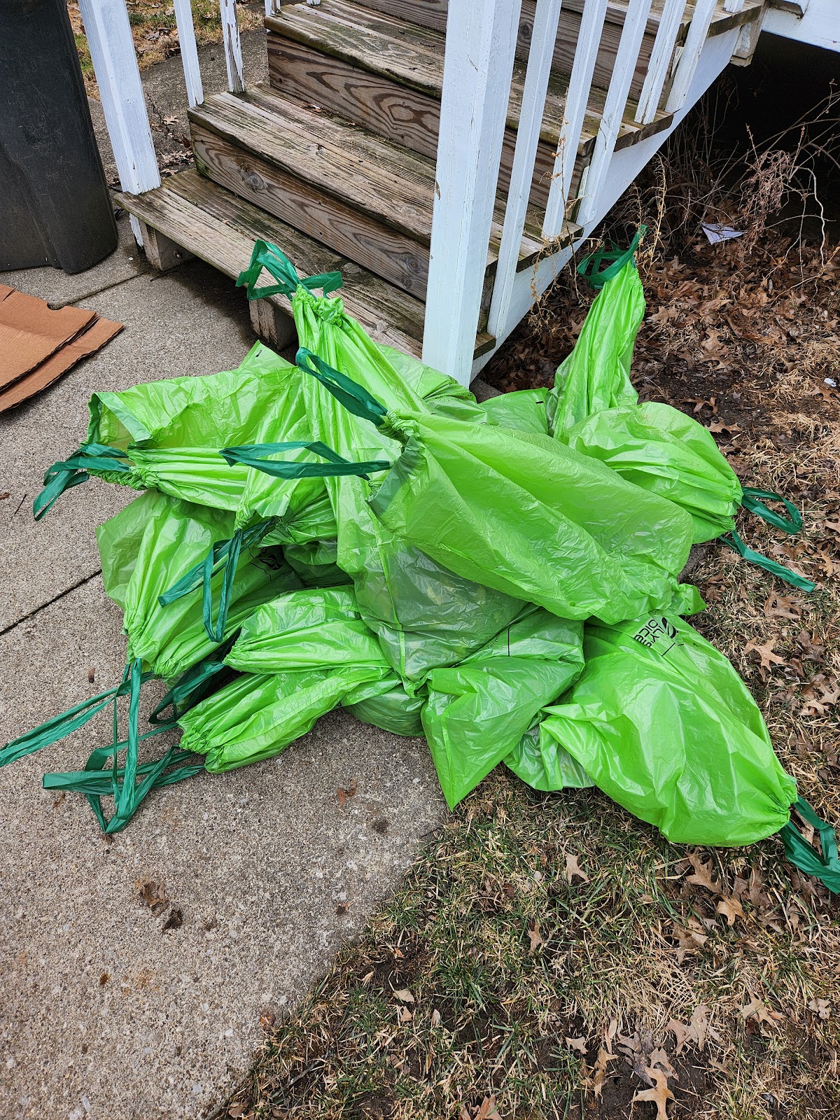 K9 Scooper Heroes - Photo 2