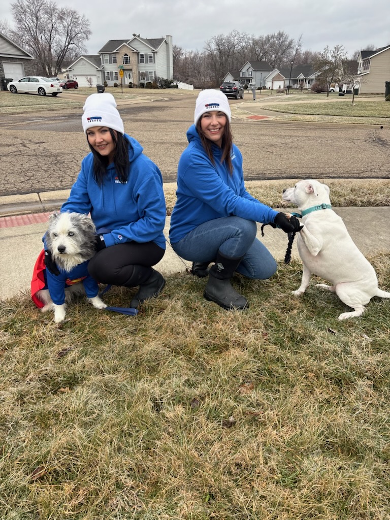 K9 Scooper Heroes - Photo 4