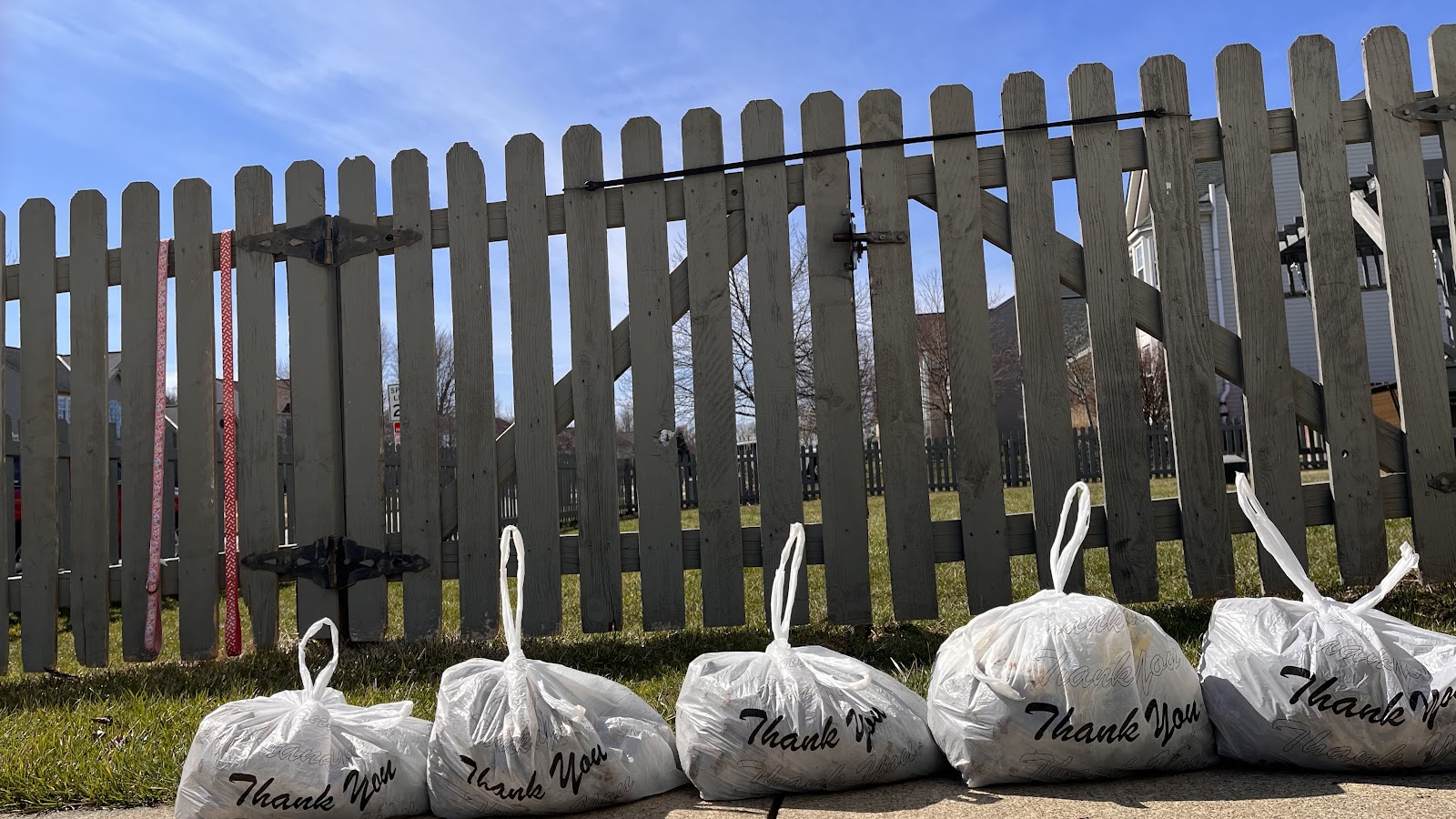 Dog Gone It Yard Duty - Bargain Dog Waste Services - Photo 2