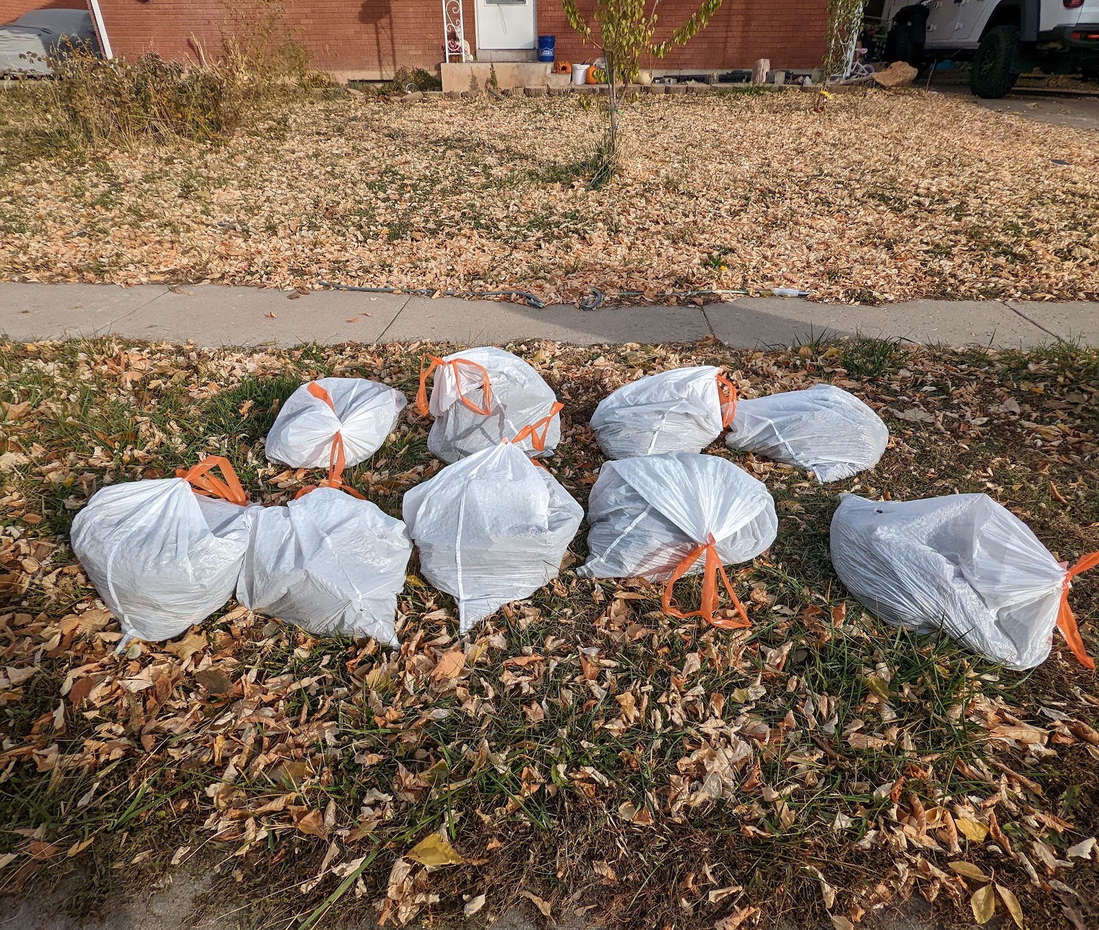 Stinkin' Clean Pet Waste Removal - Photo 2