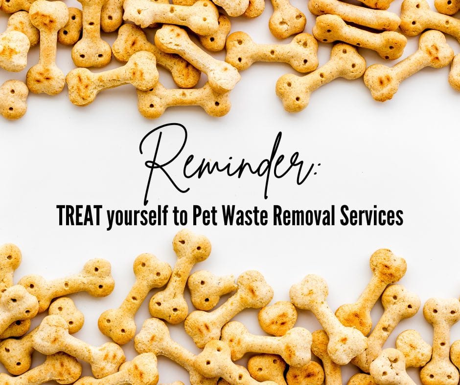 The Poolice - To Collect And Serve