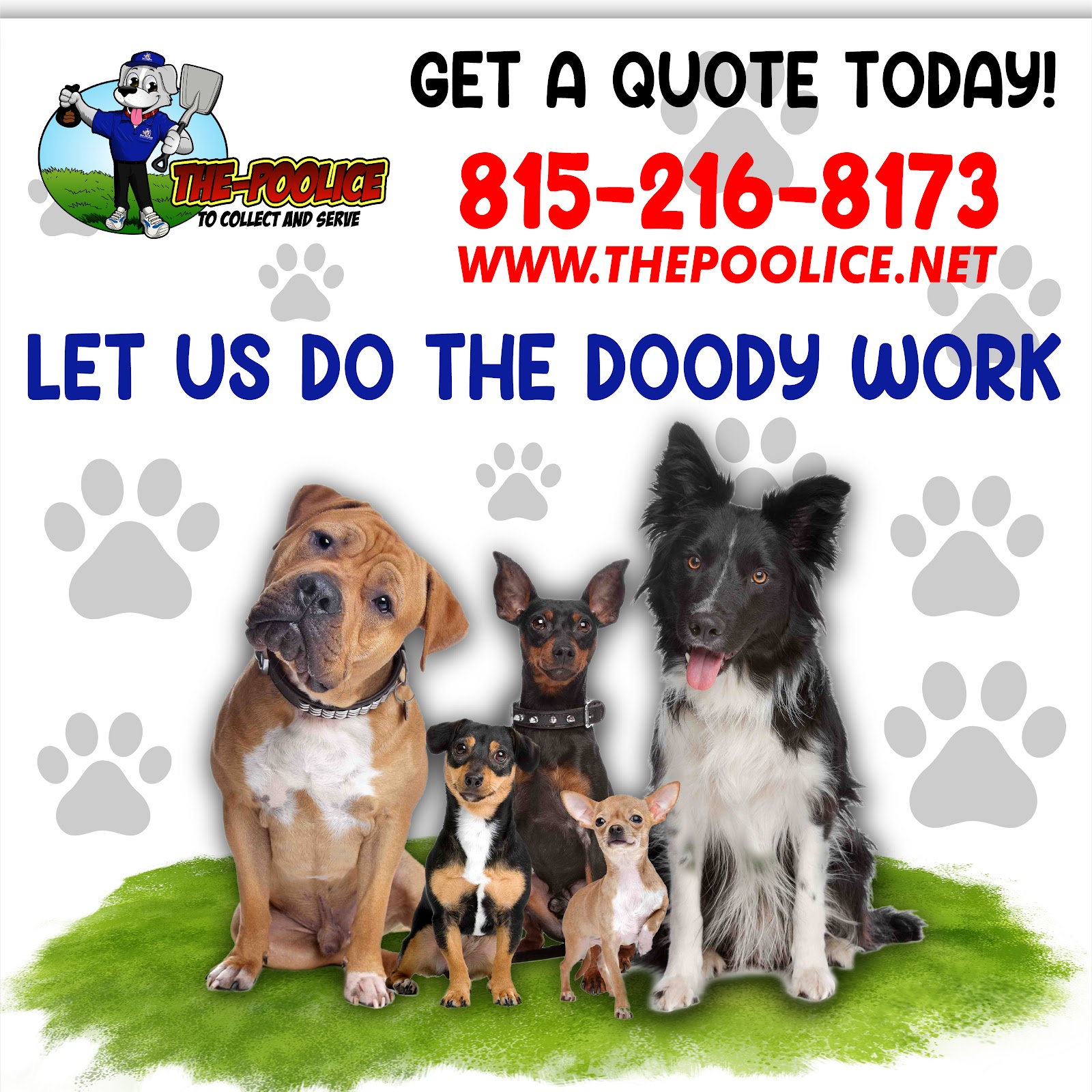 The Poolice - To Collect And Serve - Photo 2