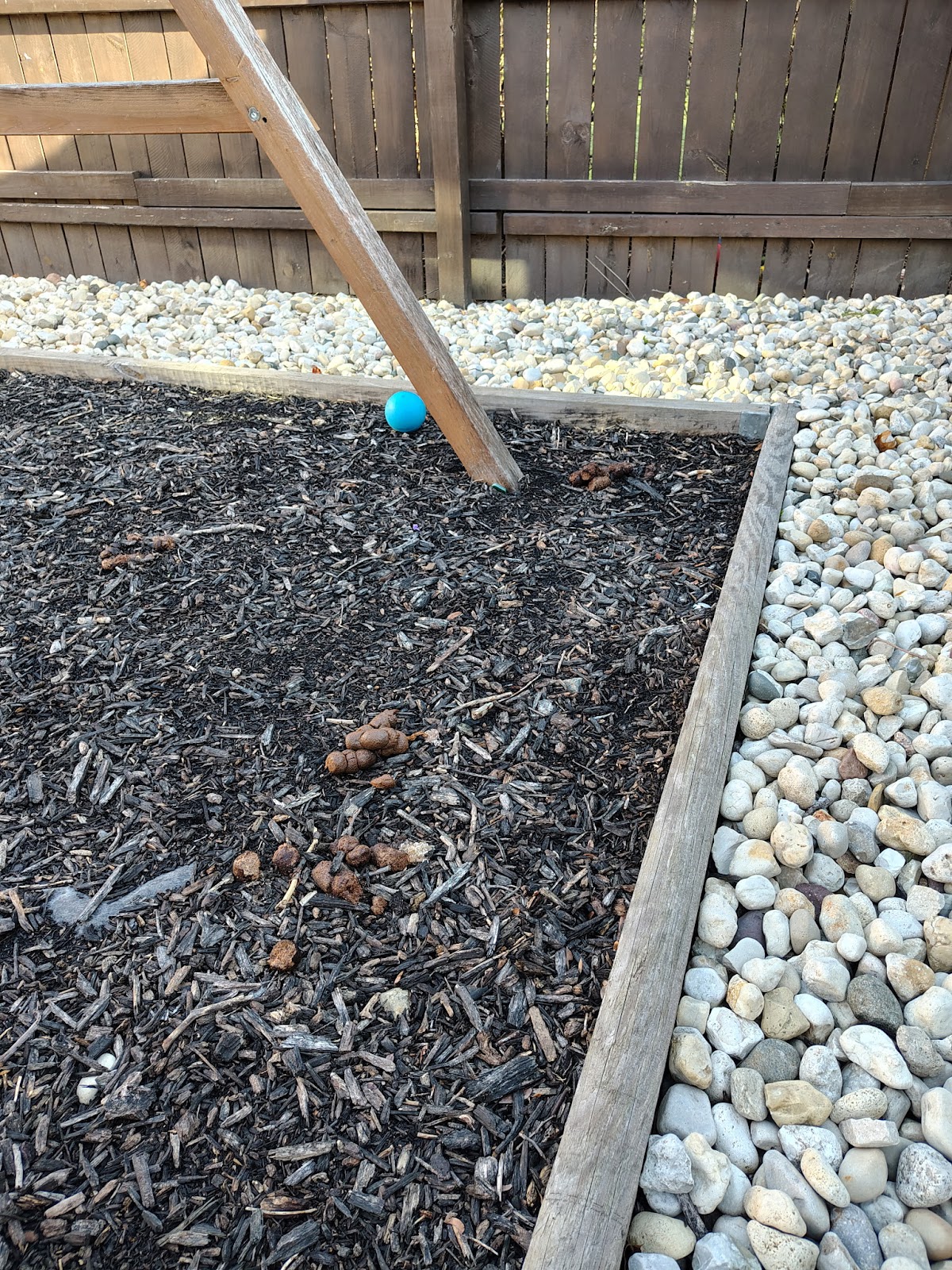 Poopy Scoopers LLC - Photo 3