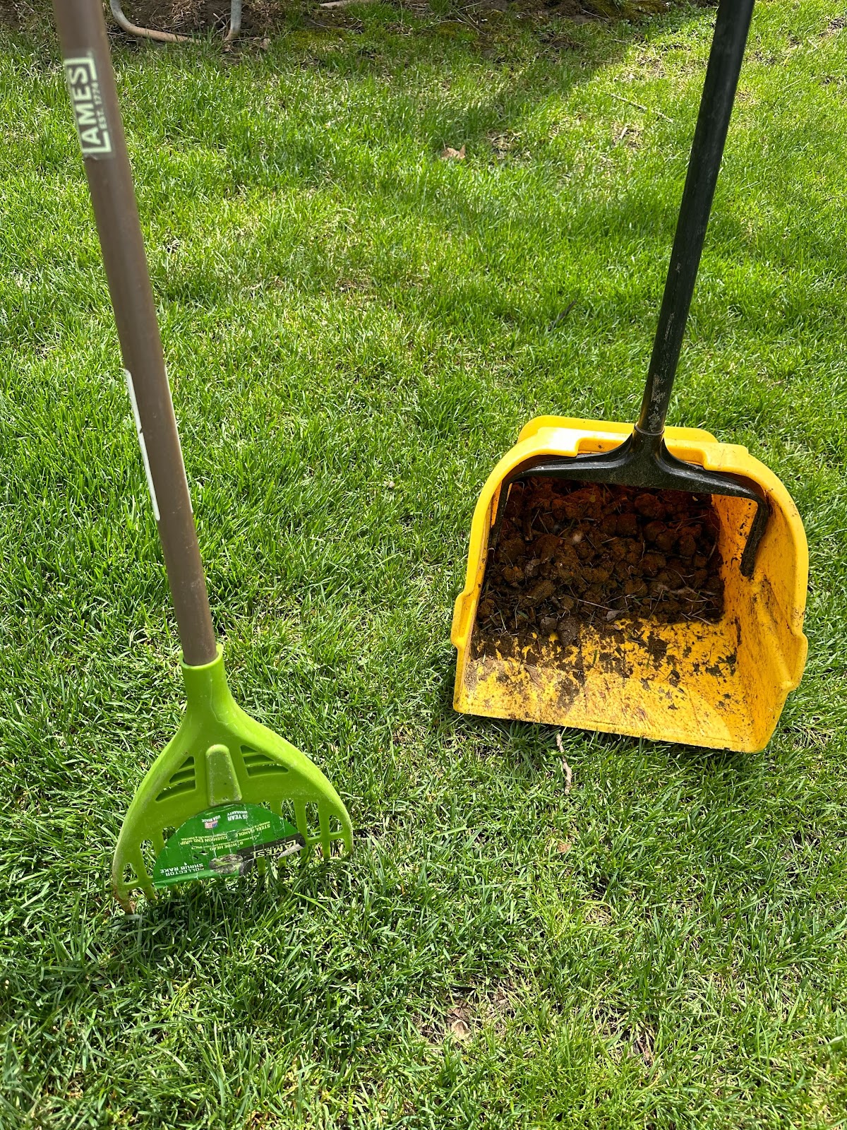 Dog Poop Pickup Sterling Heights - Photo 2