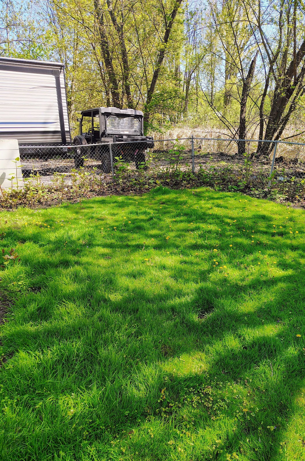 Dog Poop Pickup Sterling Heights - Photo 3