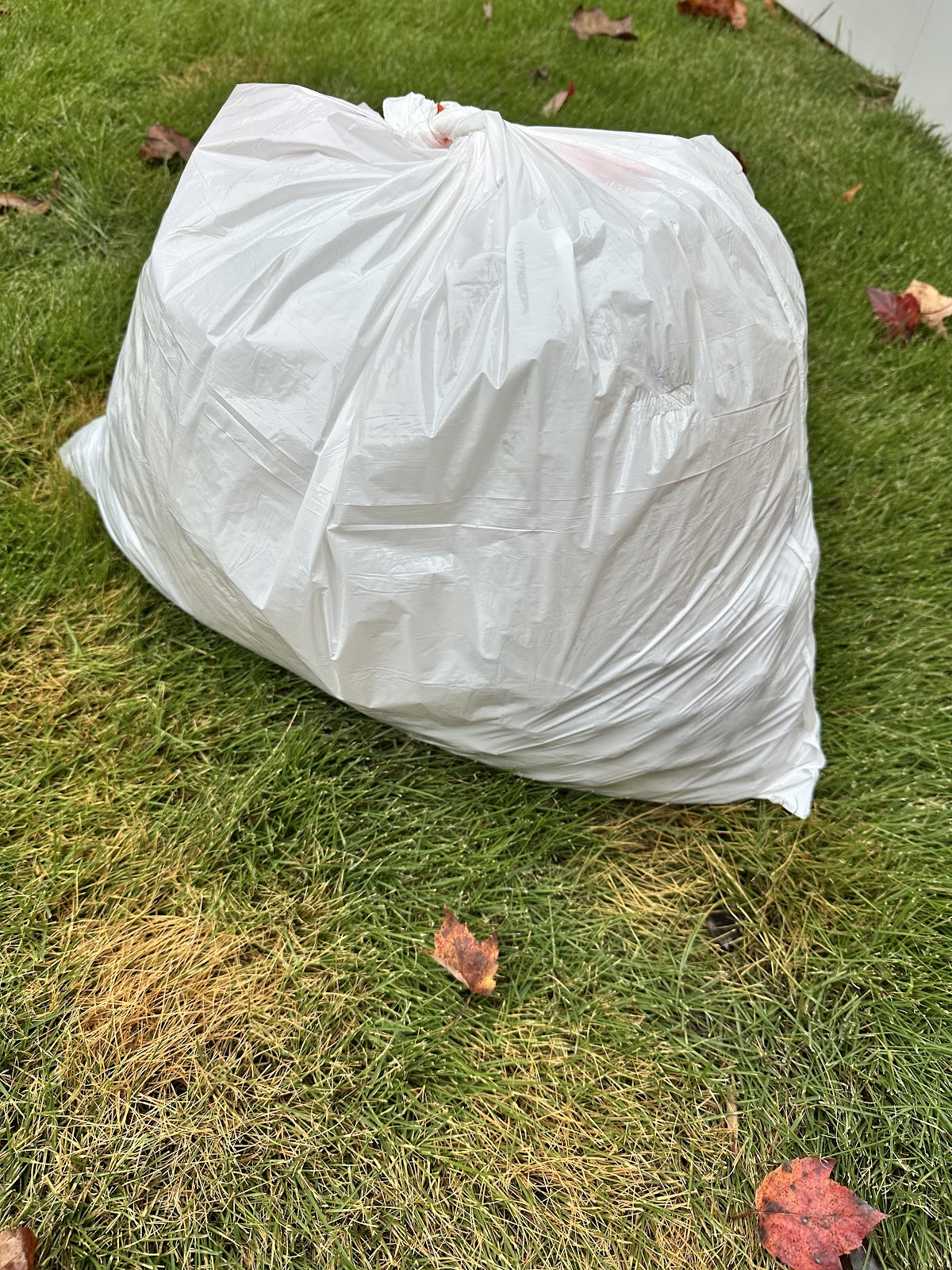 The ScoopMeister - Pet Waste Removal.