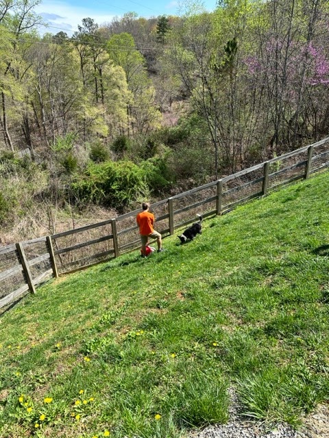 The ScoopMeister - Pet Waste Removal. - Photo 3