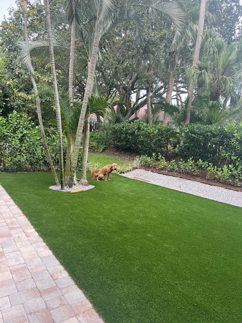 Pooperrific! Poop Scooping