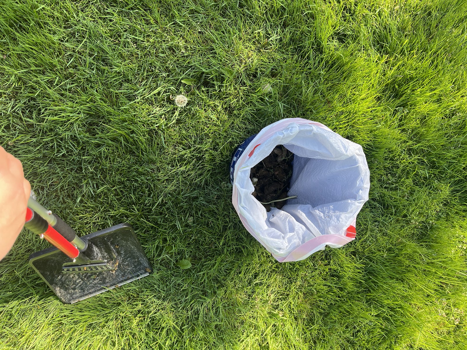 Doody Club | Dog Poop Pickup & More