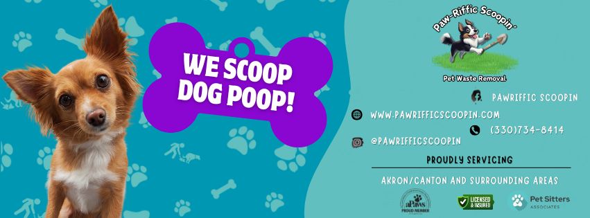 Pawriffic Scoopin - Photo 2