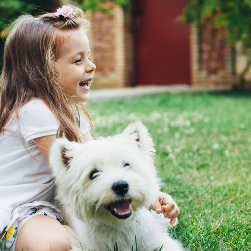 Scoop Scouts Dog Waste Cleanup and Removal