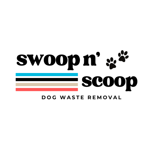 Swoop N' Scoop - Photo 2