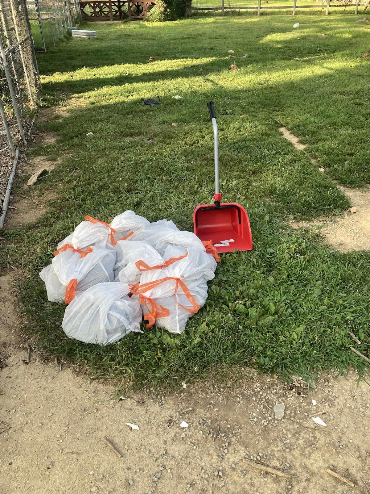 Dog Nabbit - Photo 2