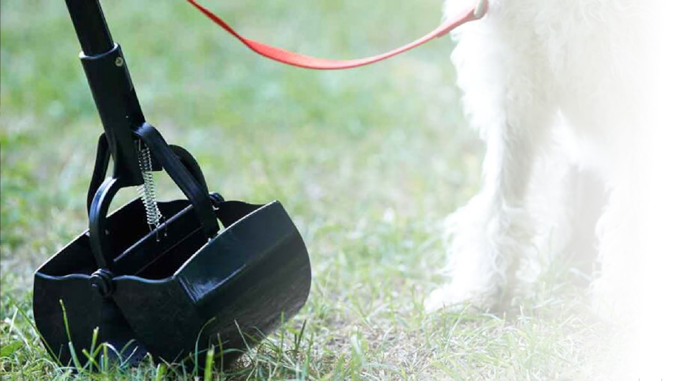 The Doo Doo Crew - Photo 3