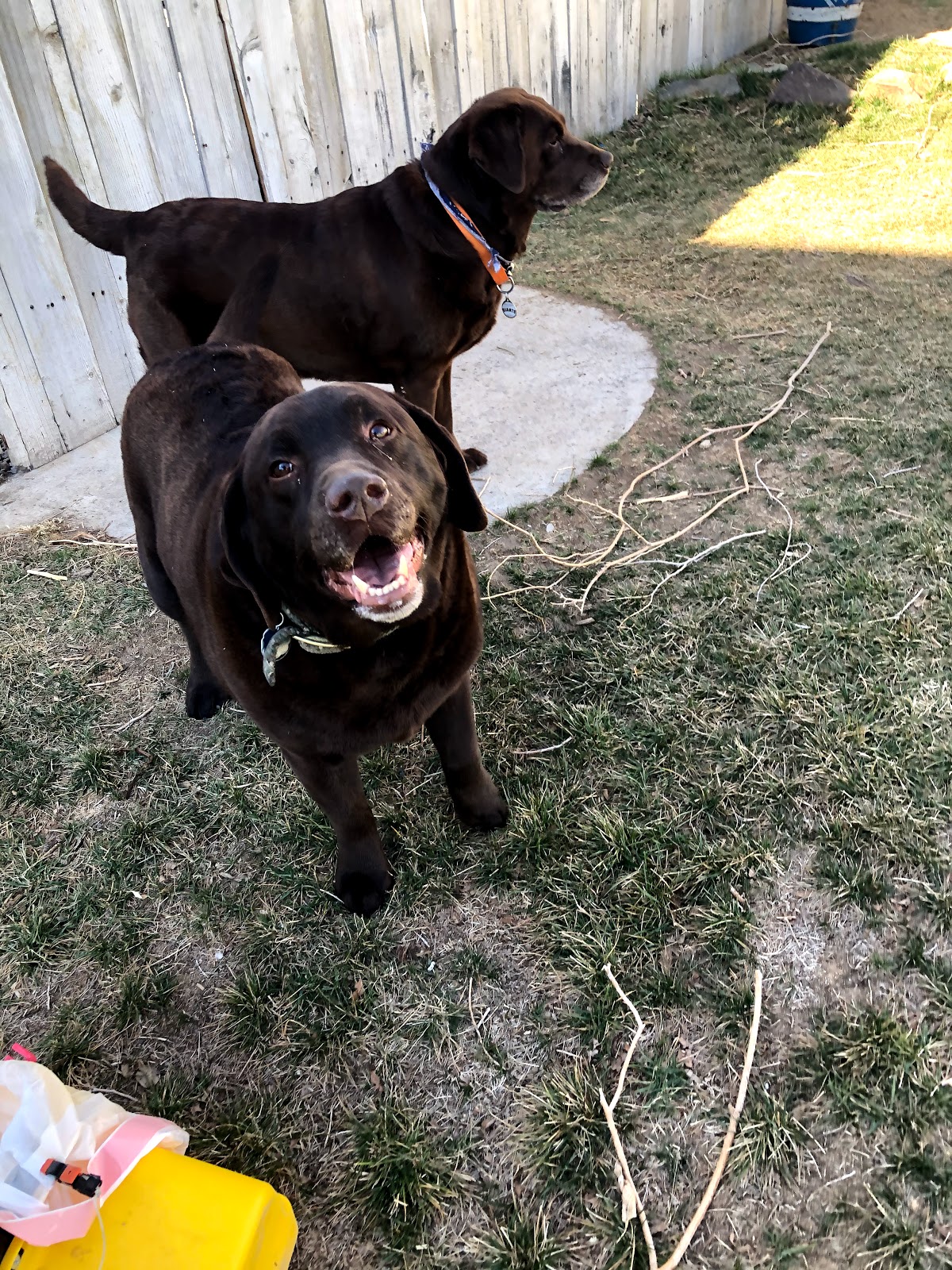 POOP 911 Reno - Photo 2