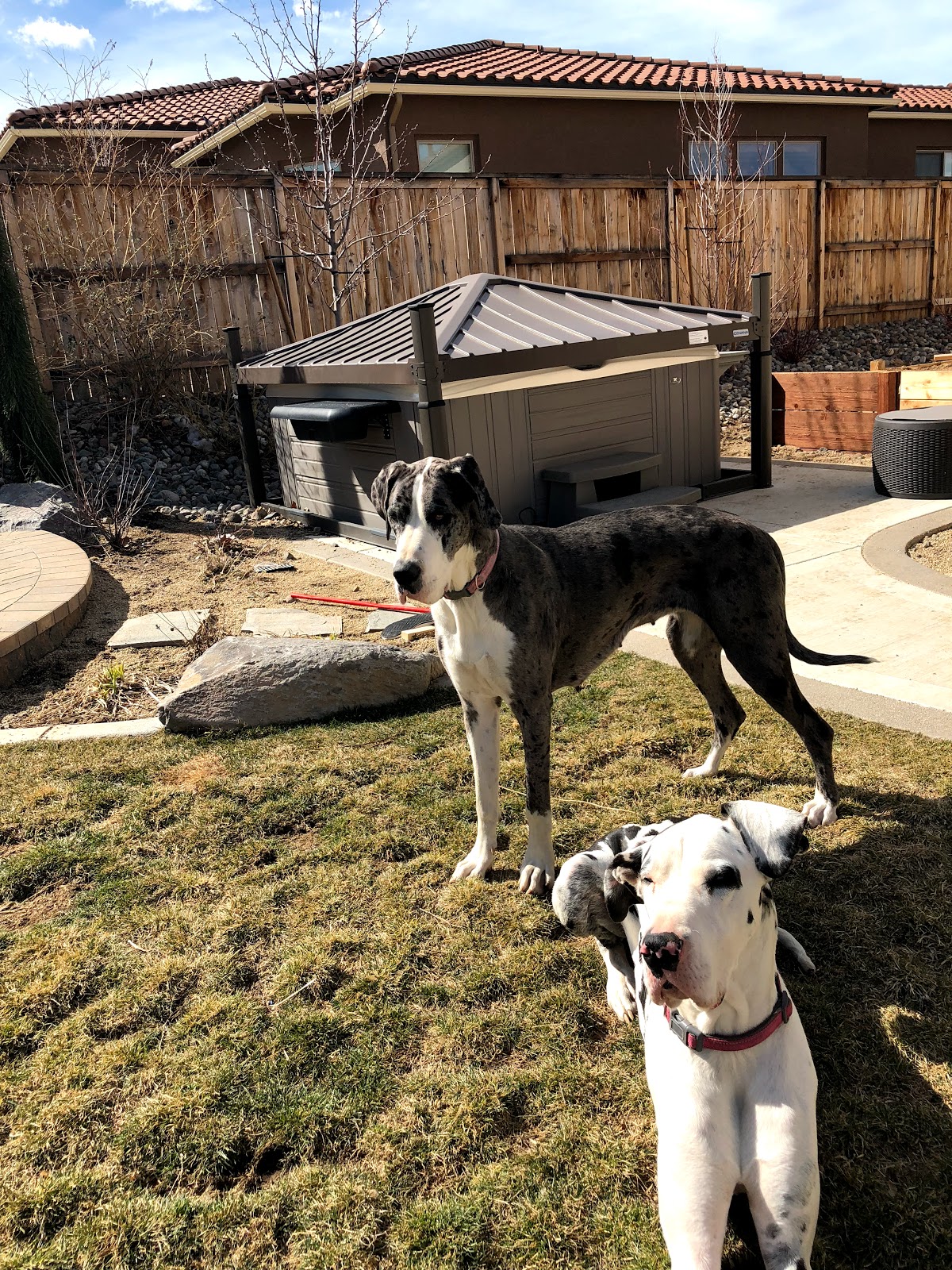 POOP 911 Reno - Photo 4