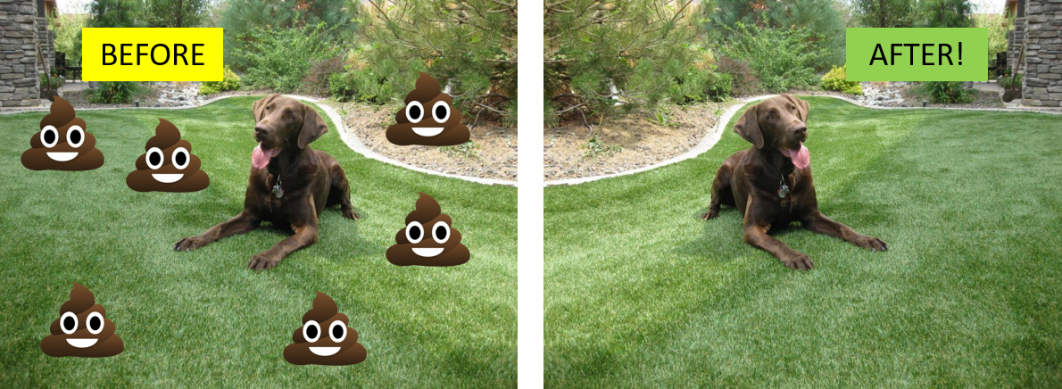 Colonel K9 Dog Doo Disposal