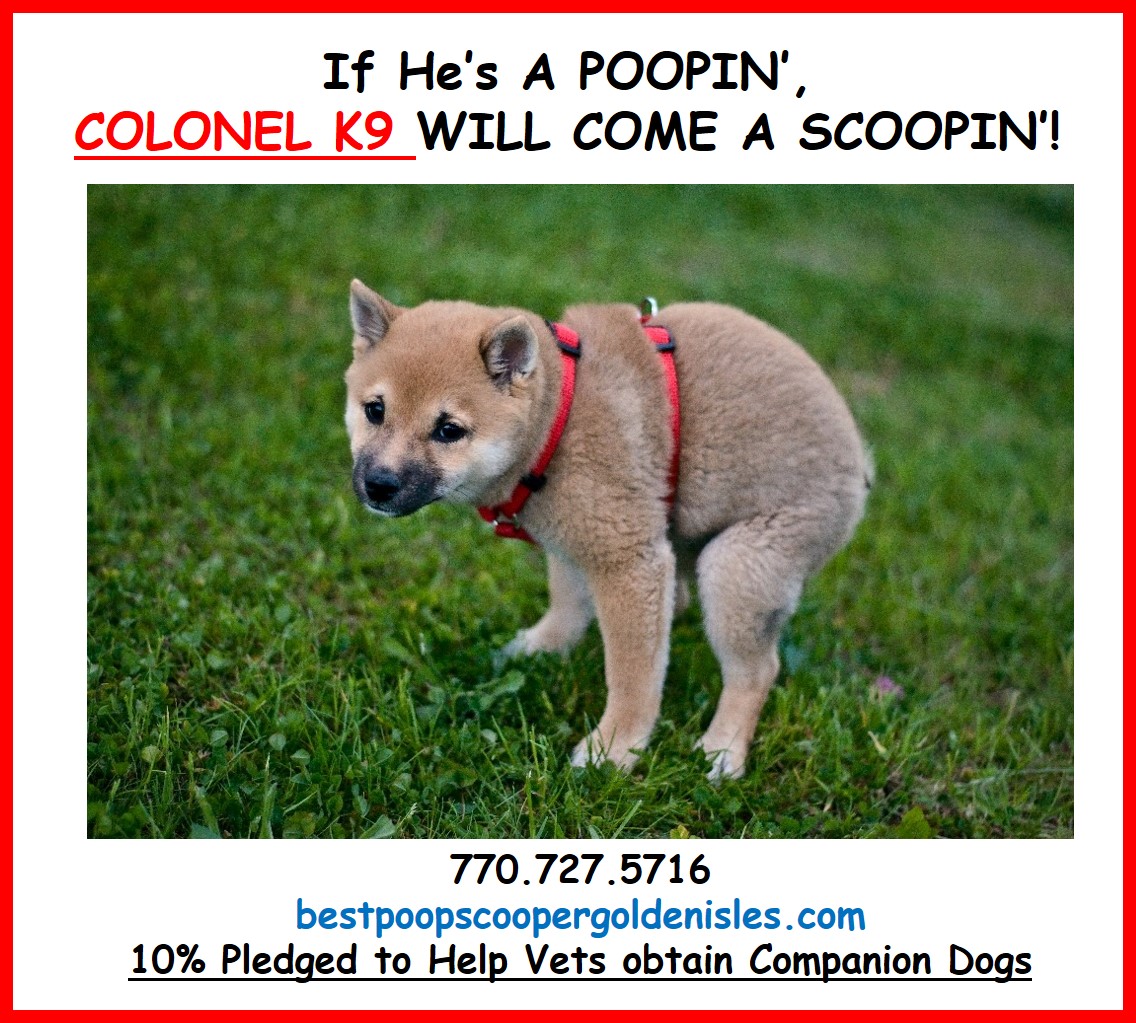 Colonel K9 Dog Doo Disposal - Photo 2