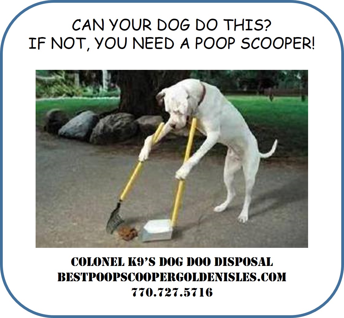 Colonel K9 Dog Doo Disposal - Photo 3
