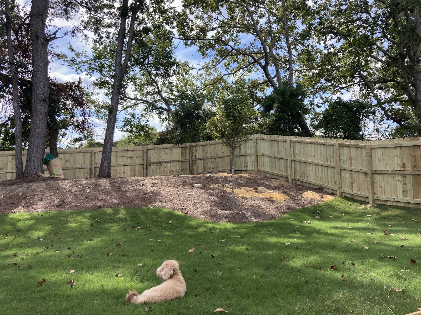 Scoop My Pets Poop - Pooper Scooper & Pet Waste Removal Service - Photo 2