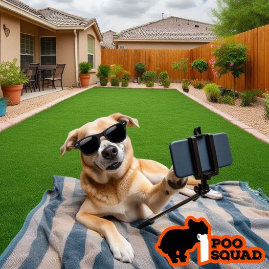 Poo Squad East Orlando - Photo 4