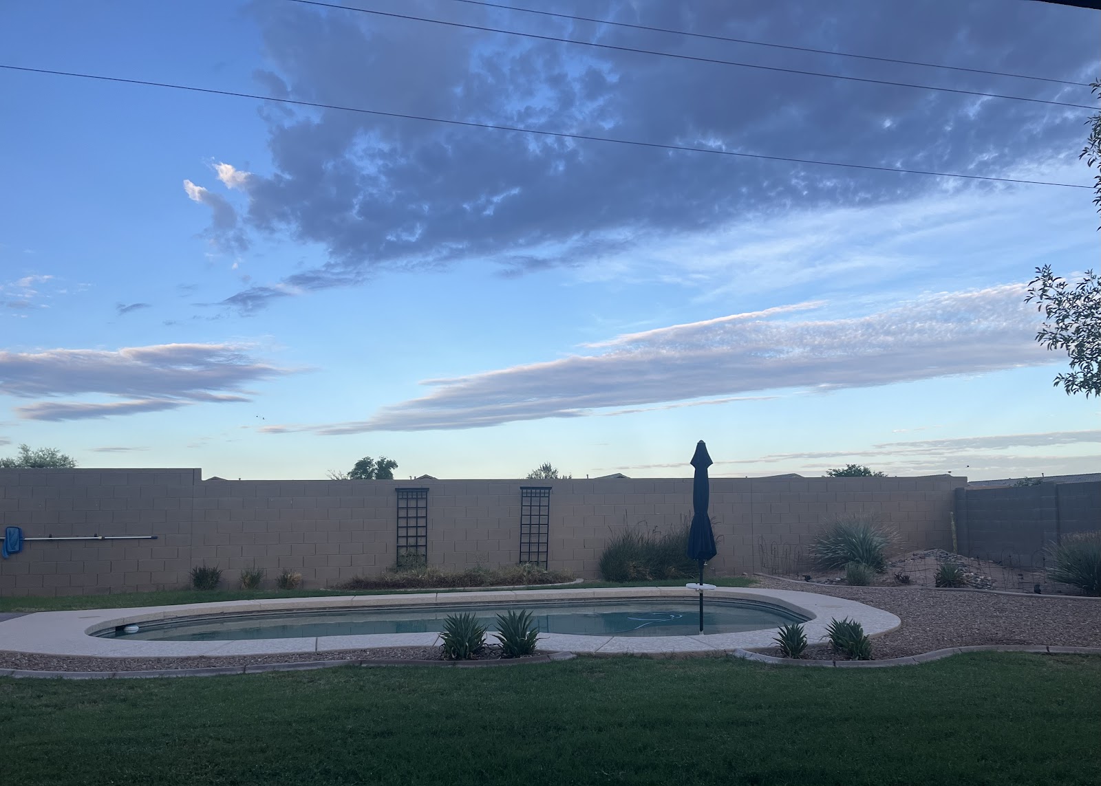 Got Poop AZ - Pet Waste Removal Service - Photo 4