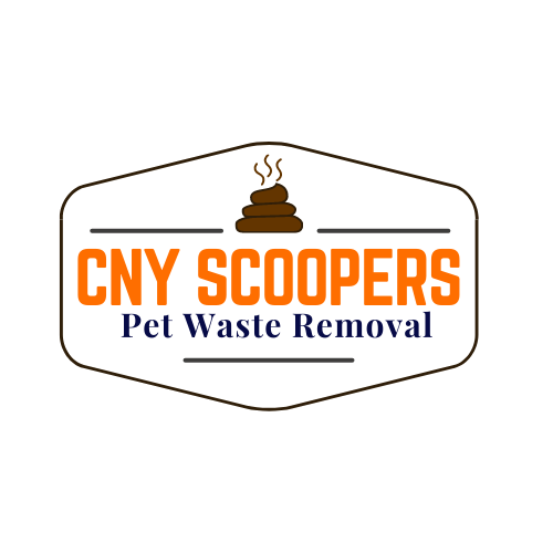 CNY Scoopers - Photo 2